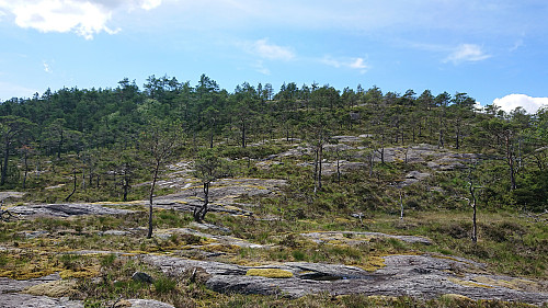 The last part of the ascent to Klubben
