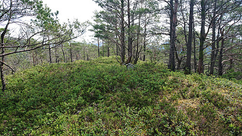 The highest point at Klubben