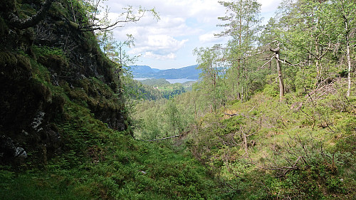 On the way down Budalen. Not yet at the trail.