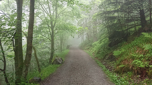 On the way to Sandviksbatteriet