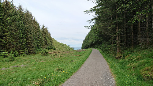 The road finally levelling off in Rimmaskaret