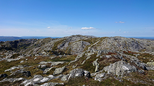 Høgenipa from Knutstignova