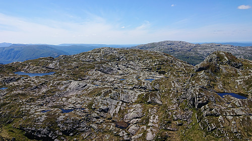 Fylenipa from Høgenipa