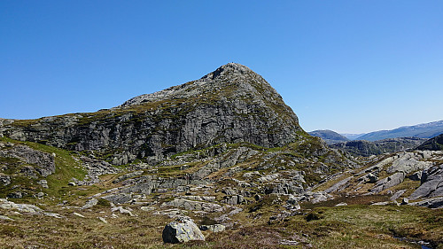 Høgenipa from the south