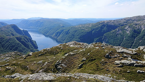 Southwest of the summit of Fylenipa. Note the deer! :)