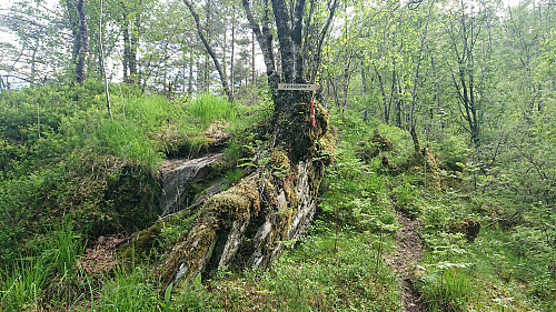 The unmarked trailhead for Beitelen