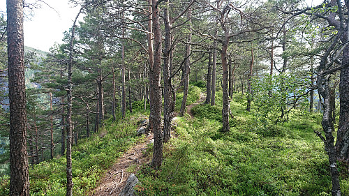 The ridge along Beitelen