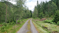 From Gamlesæter to Nymark