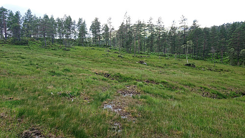 Wet area above Svartholet