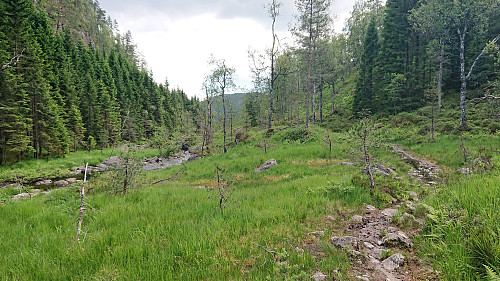 Langedalen. Almost back at the main road.
