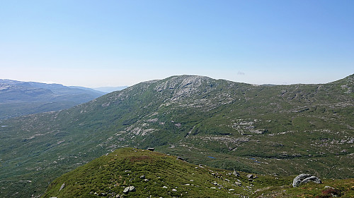 Byrkjefjellet from the ascent