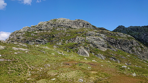Following the animal tracks left. (Hardingaskaret to the right.)