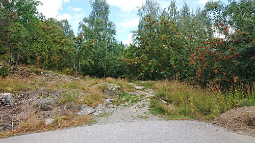 Trailhead at the end of Røvhaugvegen