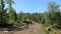 Tractor road toward Bjørnstigfjellet