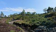 Bjørnstigfjellet from tractor road