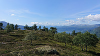Leikanger from Bjørnstigfjellet