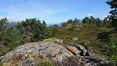 The trig marker at Bjørnstigfjellet. (Note: not at the highest point.)