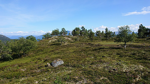 The summit area of Bjørnstigfjellet