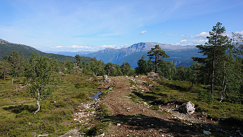 Tractor road down from Bjørnstigfjellet with Bleia in the background