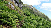 Trail towards Skjerdingane
