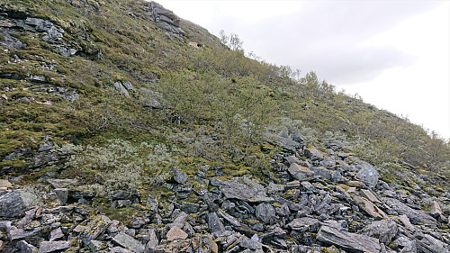 Looking back at the steep descent down from Rasdalseggi