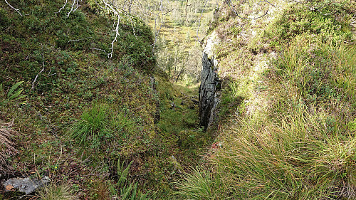 The start of the descent into Tuftedalen