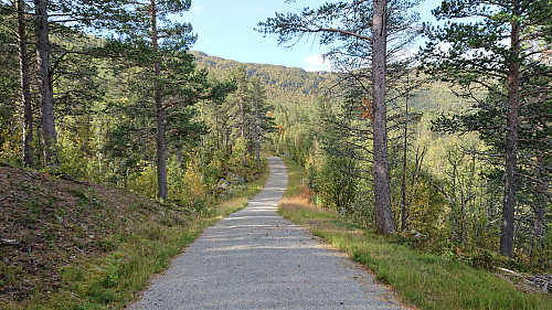 The gravel road around Ustedalsfjorden