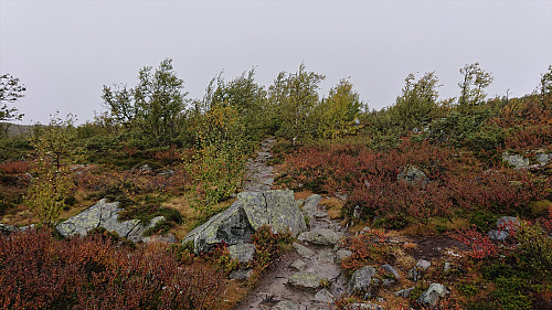 Marked trail north from Hakkesetstølen