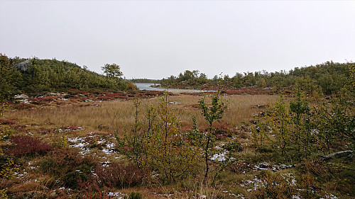 Langetjørne from the trail