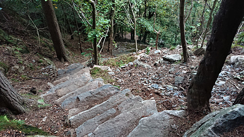 Looking back at the new stone steps up from Fjellveien