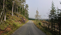 Gravel road up from Bolstadøyri