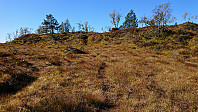 Wet trail towards Slåttenovi