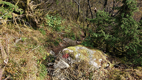 Sofusstien marked with red paint