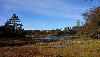 Looking back at Stemmetjørna