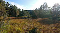 North from Stemmetjørna