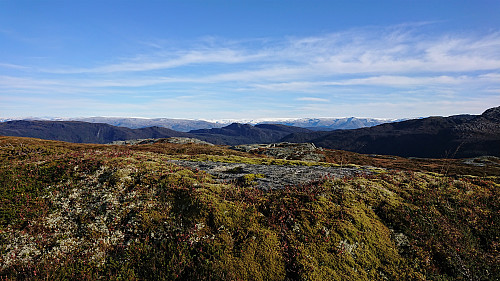 The summit of Røafjellet