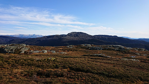 Våganipen from Røafjellet