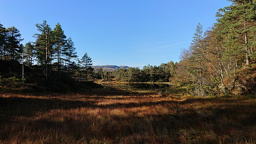 Back at Stemmetjørna