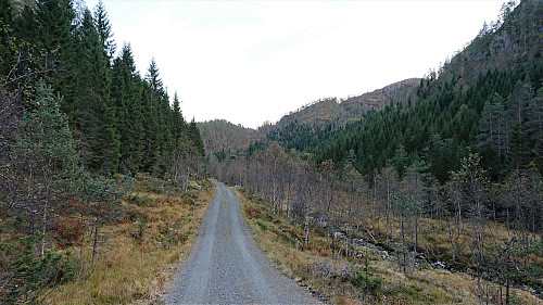 On the gravel road back to Stussdalen and the Gamlesæter