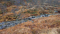 Bridge at the trailhead