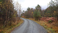Gravel road at the start