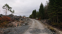 Lammenesheiane