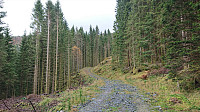 Gravel road turns tractor road
