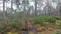 First trail marker (after 3 km)