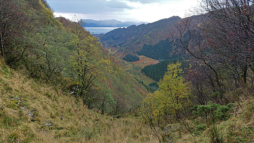 Decending into Håvikdalen. It shortly turned much steeper!