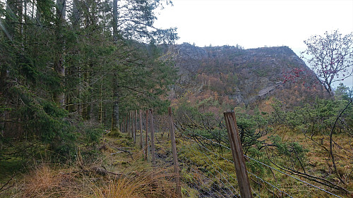 Following a fence west to the road east of Horgaberget