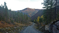 Looking back at Styveshorgi