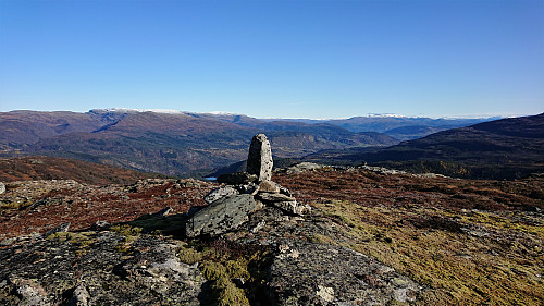 Middagsknolten