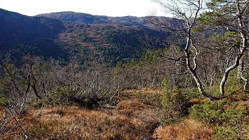 Descending to Mykkeltveitstølen