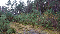 Trailhead for Dormannsnipen